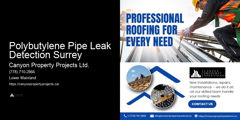 Polybutylene Pipe Leak Detection Surrey Polybutylene Pipe Replacement Experts