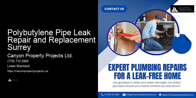 Polybutylene Pipe Removal And Installation Polybutylene Pipe Leak Repair and Replacement Surrey