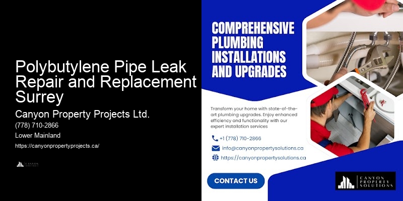 Comprehensive Pipe Replacement for Polybutylene Polybutylene Pipe Leak Repair and Replacement Surrey