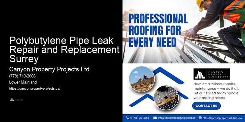 Safe and Effective Polybutylene Replacement Polybutylene Pipe Leak Repair and Replacement Surrey