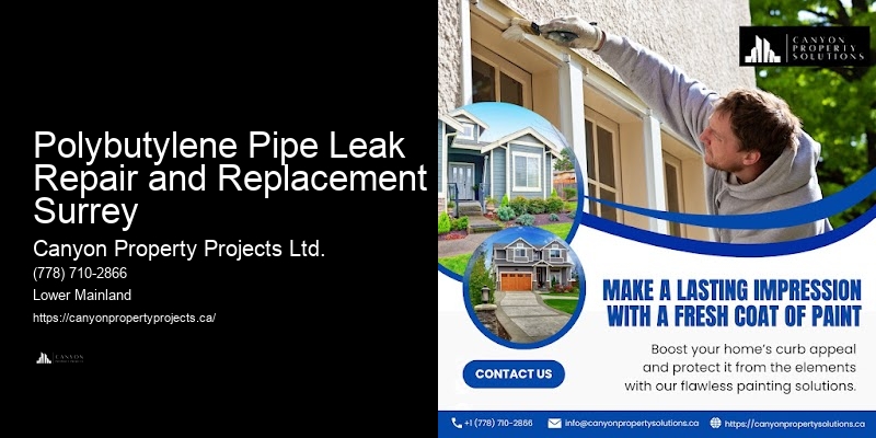 Polybutylene Pipe Leak Repair and Replacement Surrey Polybutylene Plumbing Replacements