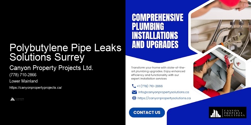 Polybutylene Pipe Leaks Solutions Surrey Polybutylene Pipe Replacement Services
