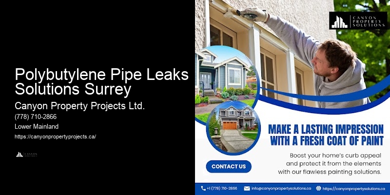 Polybutylene Pipe Upgrade Polybutylene Pipe Leaks Solutions Surrey