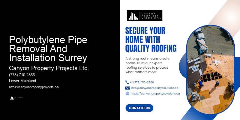 Polybutylene Pipe Removal And Installation Surrey Polybutylene Plumbing Replacement