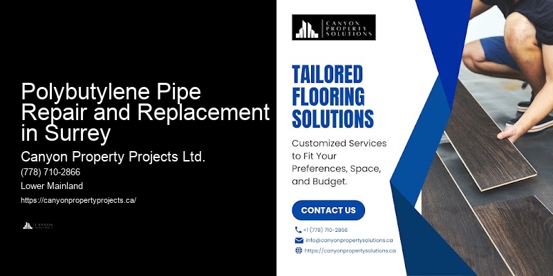 Polybutylene Plumbing Pipe Services Polybutylene Pipe Repair and Replacement in Surrey