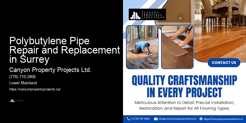 Best Polybutylene Replacement Companies Polybutylene Pipe Repair and Replacement in Surrey