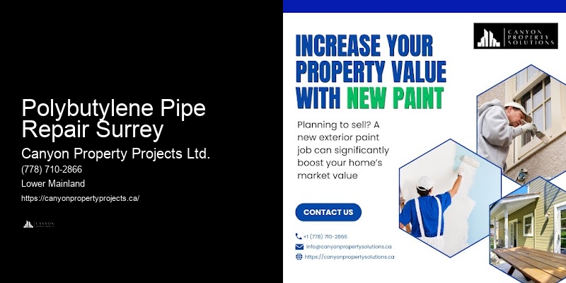 Polybutylene Pipe System Evaluation Polybutylene Pipe Repair Surrey