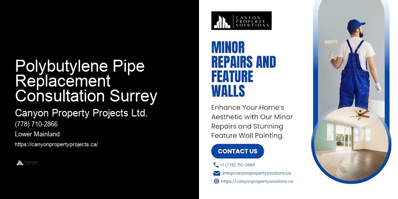 Best-Rated Polybutylene Pipe Replacement Contractors Near Me