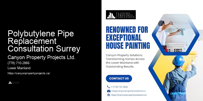 Polybutylene Pipe Inspection Polybutylene Pipe Replacement Consultation Surrey