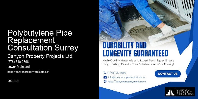 Comprehensive Polybutylene Pipe Replacement Services in Polybutylene Pipe Replacement Consultation Surrey