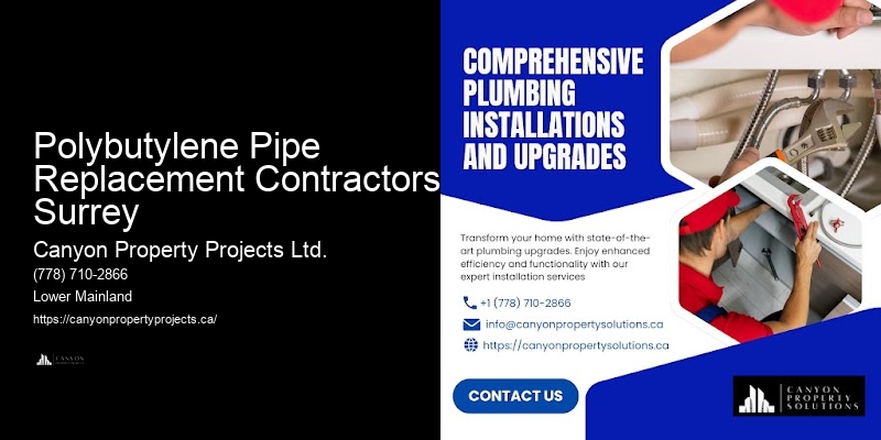 Polybutylene Pipe Replacement Contractors Surrey Polybutylene Plumbing Repair Services