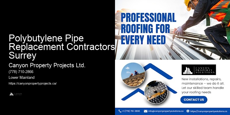 Polybutylene Pipe Repair Polybutylene Pipe Replacement Contractors Surrey
