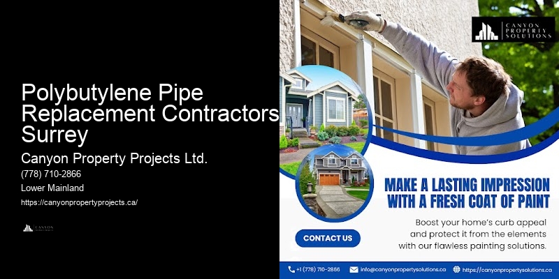 Polybutylene Plumbing Leak Detection Polybutylene Pipe Replacement Contractors Surrey