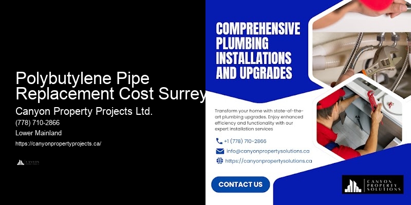 Polybutylene Pipe Removal And Installation Polybutylene Pipe Replacement Cost Surrey