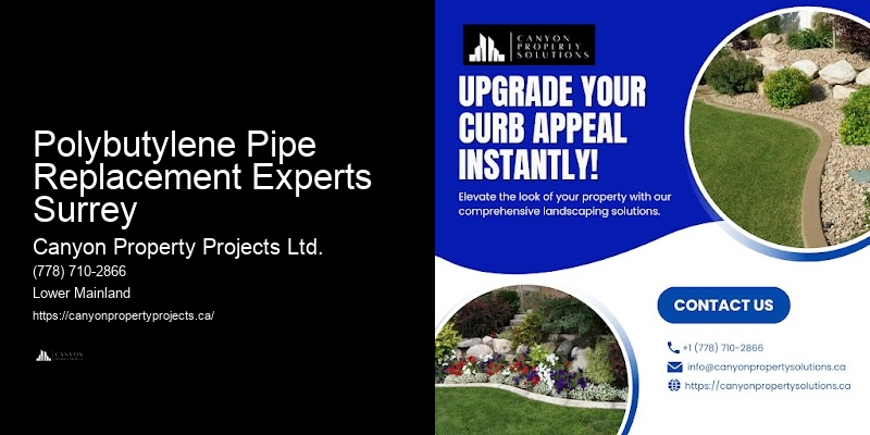 Polybutylene Pipe Replacement Experts Surrey Polybutylene Pipe Replacement with Warranty