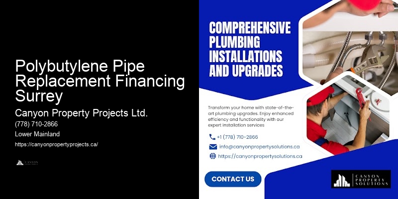Reputable Polybutylene Replacement Contractors Polybutylene Pipe Replacement Financing Surrey