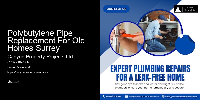Polybutylene Plumbing Safety Tips Polybutylene Pipe Replacement For Old Homes Surrey