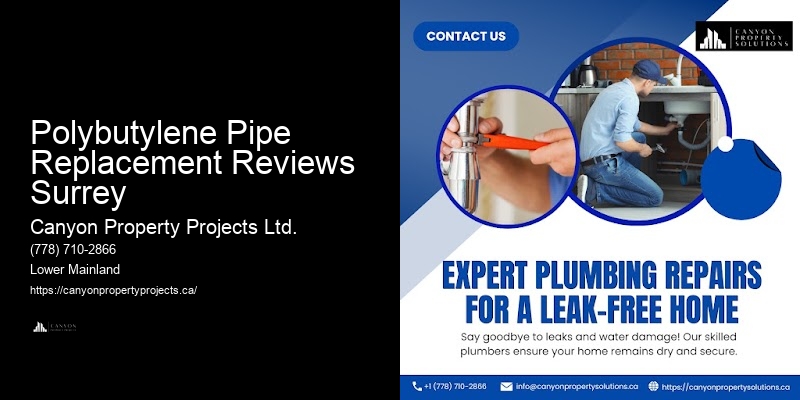 Polybutylene Plumbing Removal Services Polybutylene Pipe Replacement Reviews Surrey