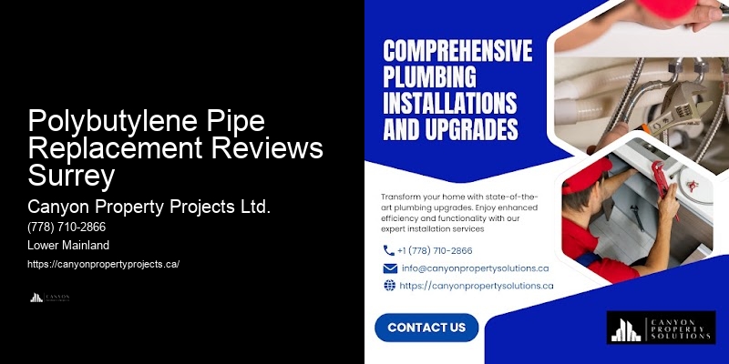 Affordable Polybutylene Pipe Replacement Services in Polybutylene Pipe Replacement Reviews Surrey