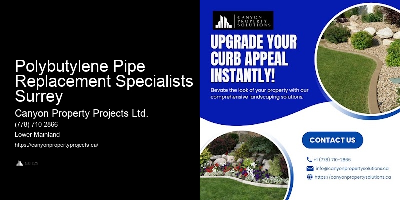 Polybutylene Pipe Leak Repair Near Me Polybutylene Pipe Replacement Specialists Surrey
