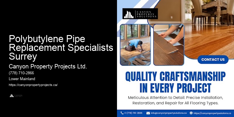 Reliable Polybutylene Plumbing Replacement Services Polybutylene Pipe Replacement Specialists Surrey