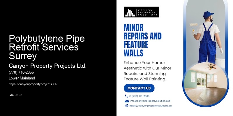Polybutylene Pipe Replacement Plumbing Inspection Polybutylene Pipe Retrofit Services Surrey