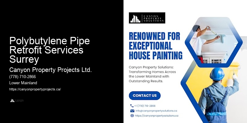 Licensed Polybutylene Replacement Companies Polybutylene Pipe Retrofit Services Surrey