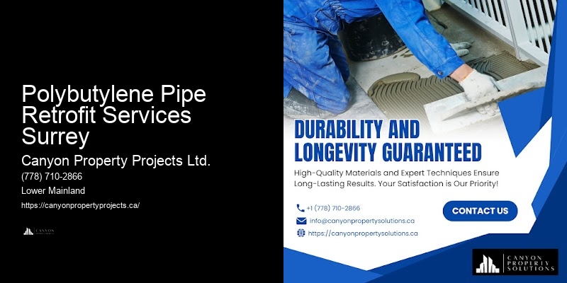Polybutylene Pipe Replacement Services Near Me Polybutylene Pipe Retrofit Services Surrey