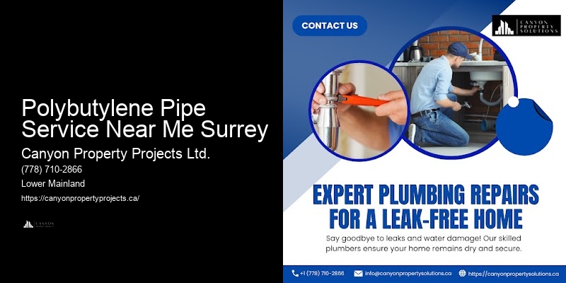 Polybutylene Plumbing Safety Polybutylene Pipe Service Near Me Surrey