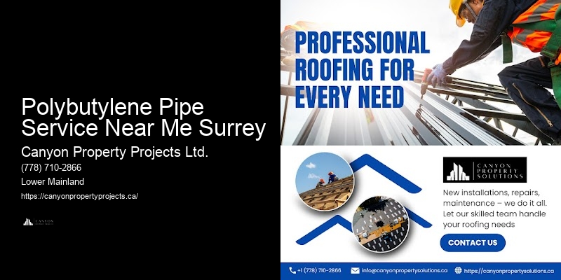 Expert Advice on Polybutylene Plumbing Polybutylene Pipe Service Near Me Surrey