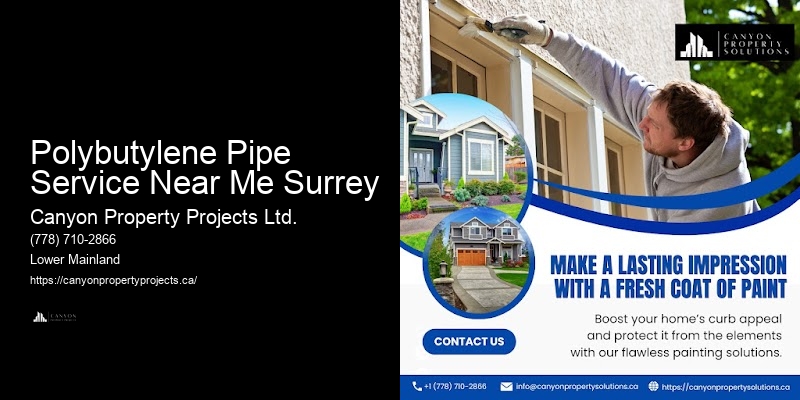 Local Polybutylene Pipe Replacement Polybutylene Pipe Service Near Me Surrey