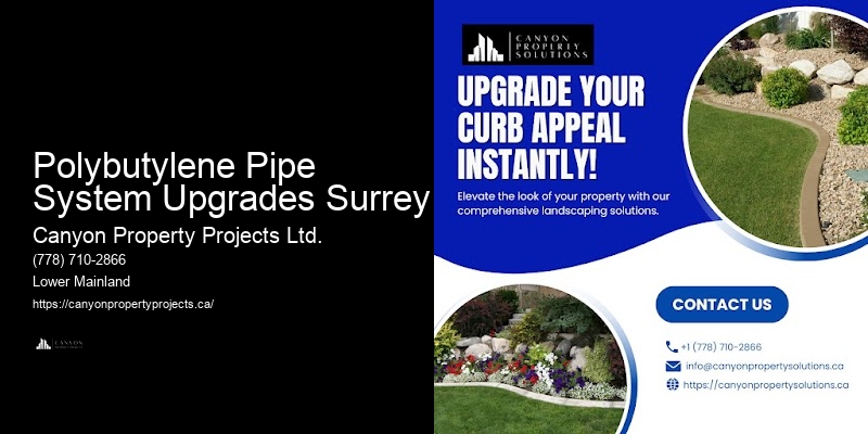 Licensed Polybutylene Plumbing Services Polybutylene Pipe System Upgrades Surrey