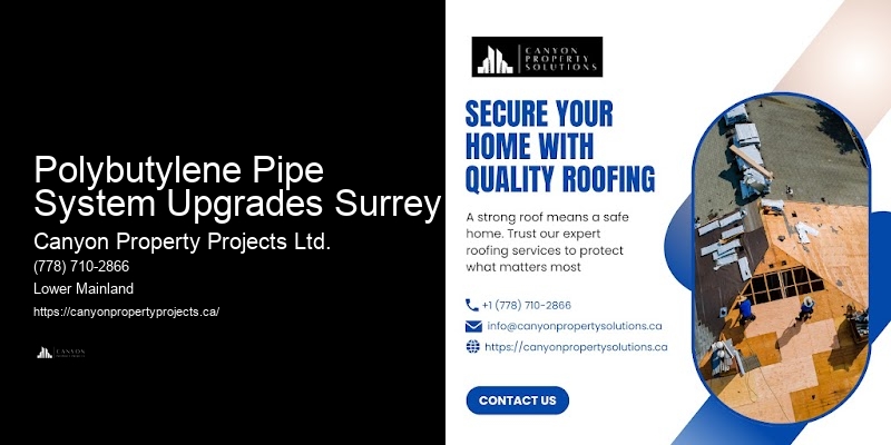 Polybutylene Pipe Replacement Financing Polybutylene Pipe System Upgrades Surrey