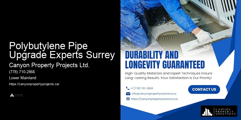 Polybutylene Pipe Upgrade Experts Surrey Polybutylene Pipe Experts Reviews