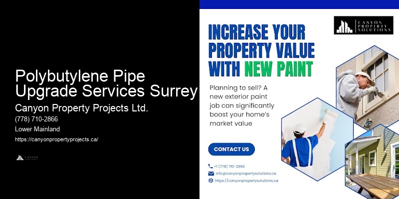 Polybutylene Pipe Upgrade Services Surrey Residential Polybutylene Pipe Replacement