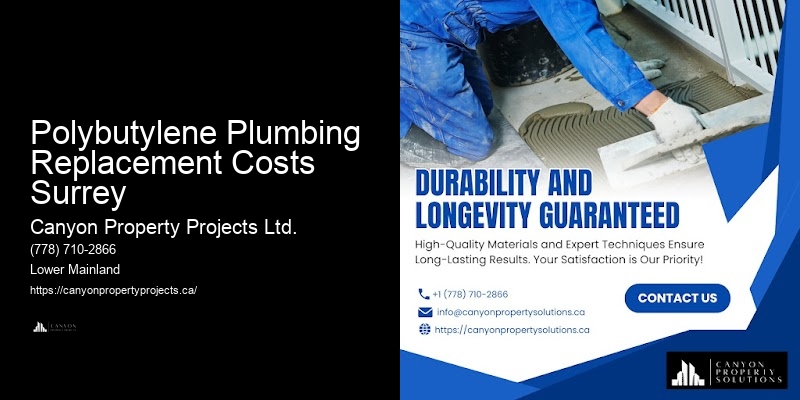 Polybutylene Pipe Replacement Contractors Reviews Polybutylene Plumbing Replacement Costs Surrey