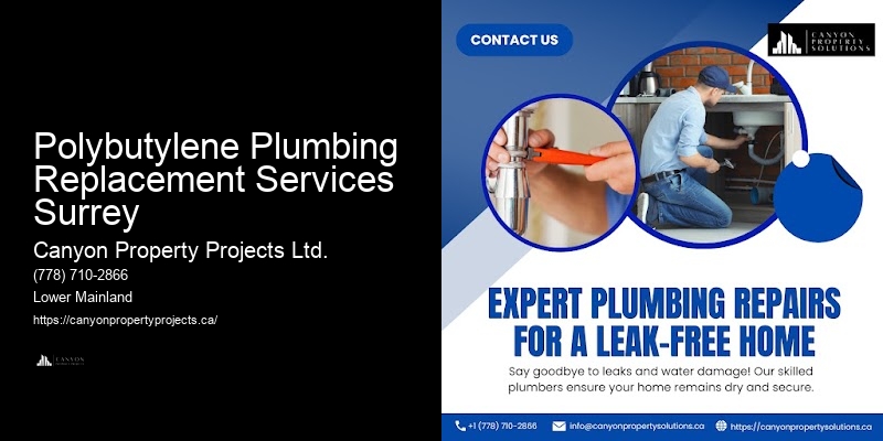 Polybutylene Pipe Assessments Polybutylene Plumbing Replacement Services Surrey