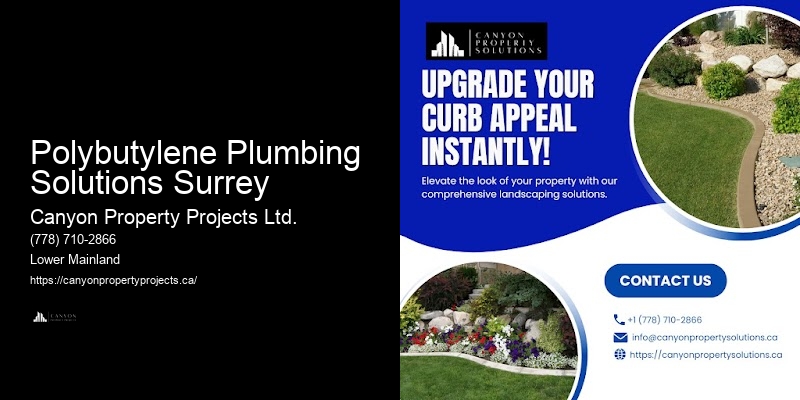 Pipe Leak Detection and Replacement for Polybutylene Polybutylene Plumbing Solutions Surrey