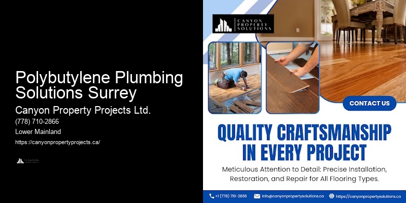 Quality Polybutylene Pipe Replacement Polybutylene Plumbing Solutions Surrey
