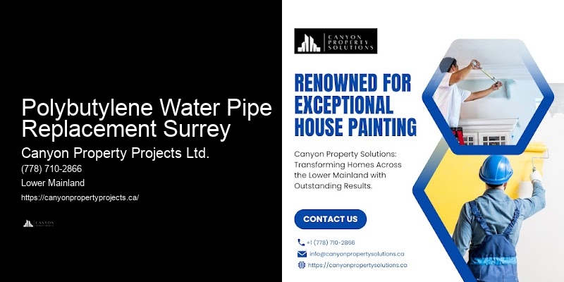 Polybutylene Pipe Inspections Polybutylene Water Pipe Replacement Surrey