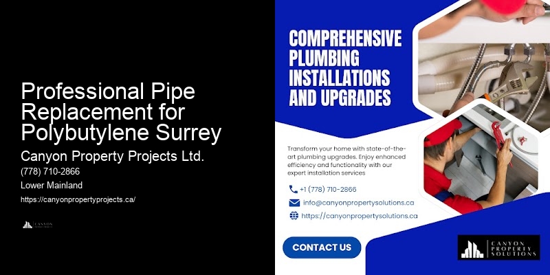 Trusted Polybutylene Pipe Services Professional Pipe Replacement for Polybutylene Surrey