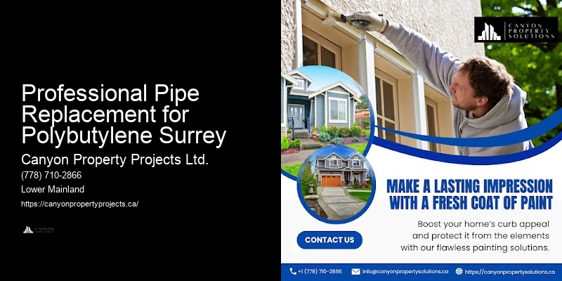 Professional Pipe Replacement for Polybutylene Surrey Polybutylene Plumbing Services