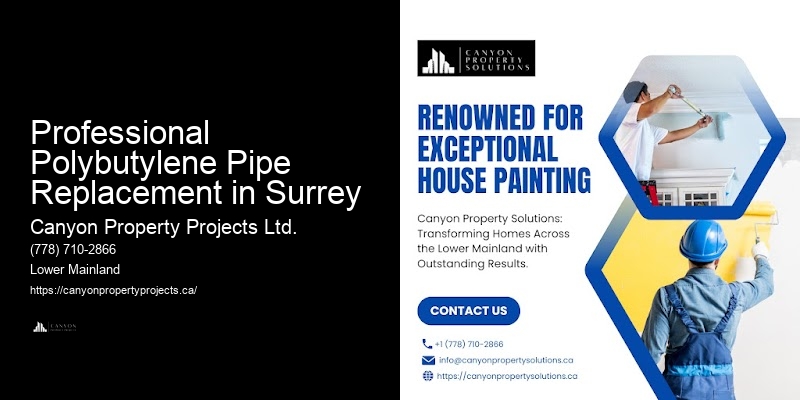 Polybutylene Pipe Management Services Professional Polybutylene Pipe Replacement in Surrey