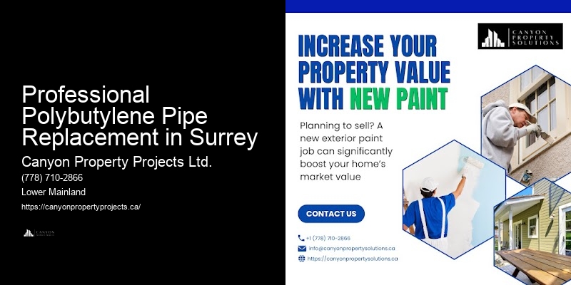 Professional Pipe Replacement for Polybutylene Professional Polybutylene Pipe Replacement in Surrey
