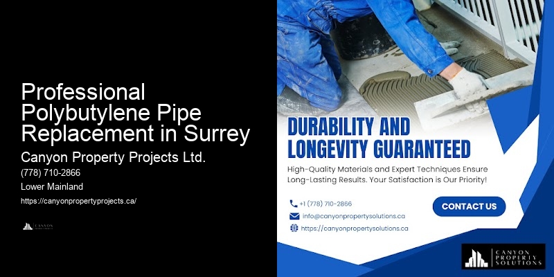 Polybutylene Pipe Replacement Consultation Services Professional Polybutylene Pipe Replacement in Surrey