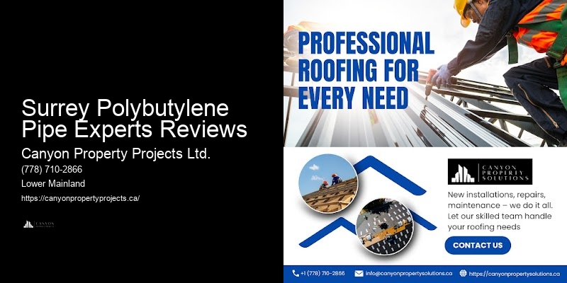 Surrey Polybutylene Pipe Experts Reviews Polybutylene Pipe Replacement Company