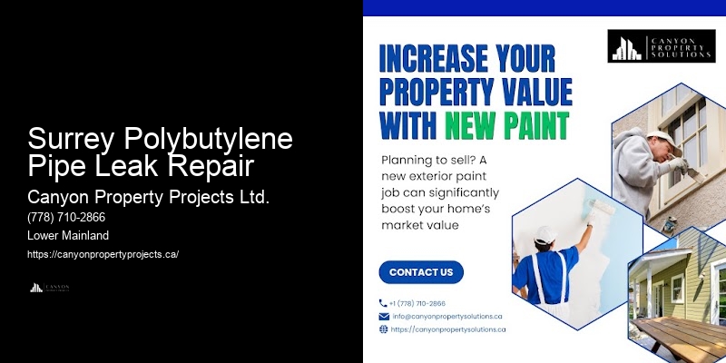 Polybutylene Pipe Inspection Surrey Polybutylene Pipe Leak Repair
