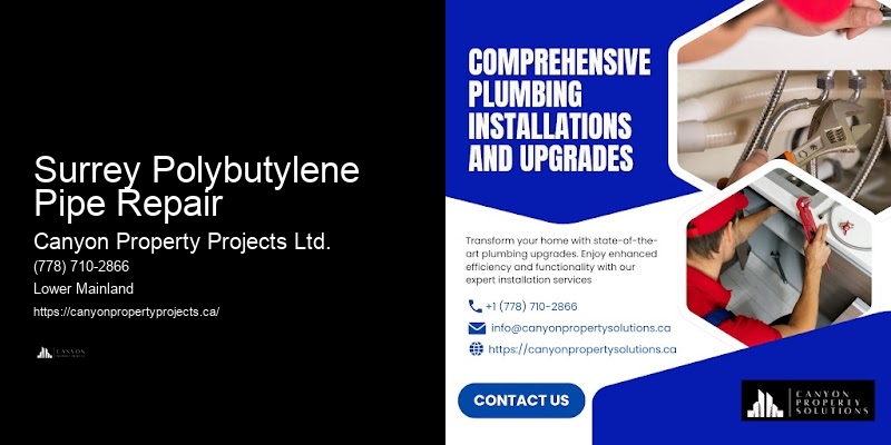 Polybutylene Plumbing Costs Surrey Polybutylene Pipe Repair