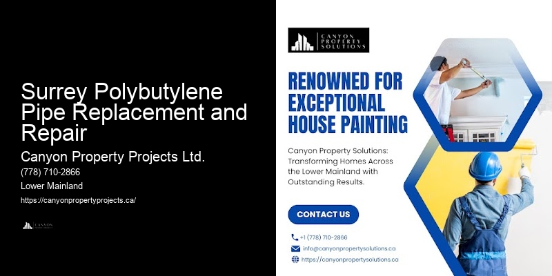 Preventative Polybutylene Pipe Upgrades Surrey Polybutylene Pipe Replacement and Repair