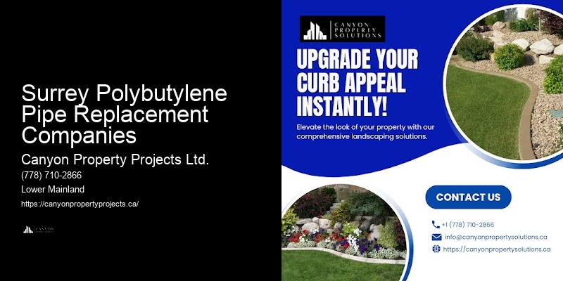 Home Polybutylene Pipe Replacement Surrey Polybutylene Pipe Replacement Companies